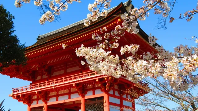 Những địa điểm ngắm hoa nổi tiếng tại Kyoto