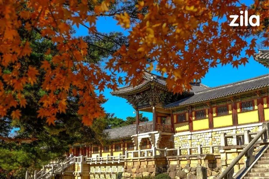 Di sản văn hóa thế giới UNESCO