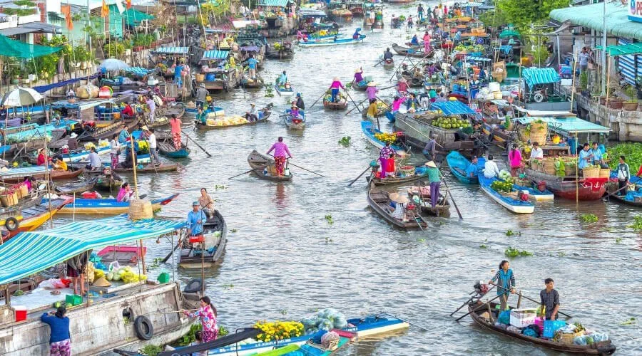 Introduction to the Mekong Delta: A Crucial Waterway